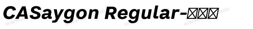CASaygon Regular字体转换